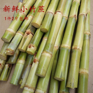 新鲜小竹蔗 甘蔗 煲汤 做糖水专用蔗,野生竹蔗特小甘蔗包邮