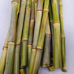 新鲜竹蔗正宗小竹蔗农家甘蔗青皮蔗黄皮蔗煲汤做糖水纯正竹蔗下火