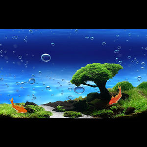 鱼缸壁纸海底世界鱼缸背景高清定制背景贴纸自粘高清图画壁纸水族