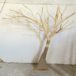 原木色树干去皮枯树干枝纯手工定制简约创意枯树造型道具树展示架