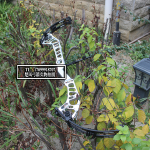 弓箭复合弓 三利达宗师x10射准复合弓40轴距弓箭射箭器材