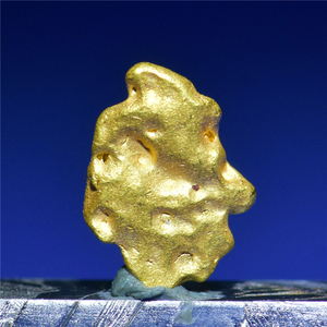 自然金天然金子结晶晶体狗头金宝物猎人nativegold矿物晶体金子