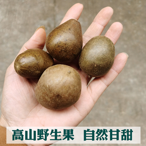 1个果子1元  野生罗汉果干果泡茶小果桂林特产广西永福正品散装