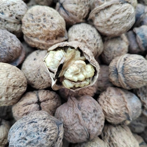 贵州特产深山野天然老树核桃孕妇专用薄皮核桃无添加纯天然 原味