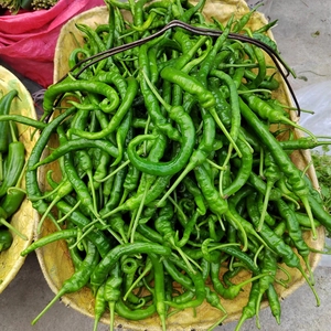 贵州新鲜青辣椒