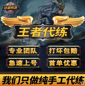 王者荣耀代练排位手工接单代打段位带玩送车队游戏上分上星价格表