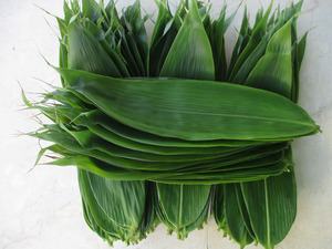 粽叶粽子叶免邮新鲜野生箬竹叶现摘100片送棉线真空打包顺丰产地