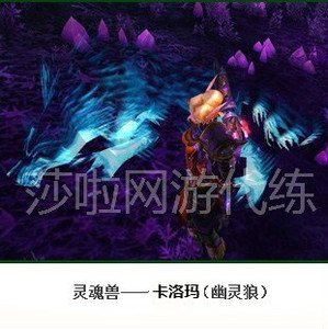魔兽世界代抓猎人灵魂兽代抓灵魂兽带抓宝宝卡洛玛幽灵狼sm狼大角
