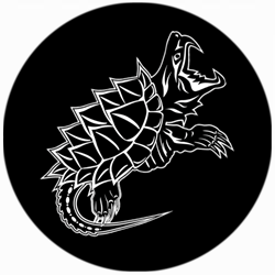 2017年龟苗大鳄龟苗活体大鳄龟活体头苗进口龟苗钓鱼龟刺大鳄活体