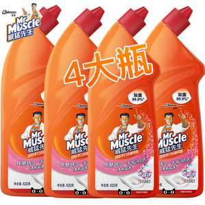 威猛先生洁厕块