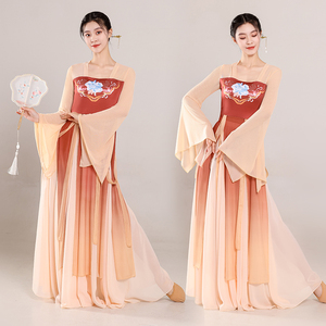 古典舞蹈服女中国舞蹈演出服装汉唐齐胸飘带身韵飘逸长款纱衣