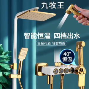 九牧王牌金色全铜淋浴花洒套装恒温家用增压挂墙式淋浴器卫生间