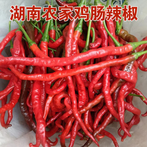 辣椒二荆条新鲜