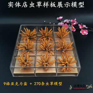 仿真实体店展示冬虫夏草模型礼盒装 深圳热销燕窝虫草模型样版