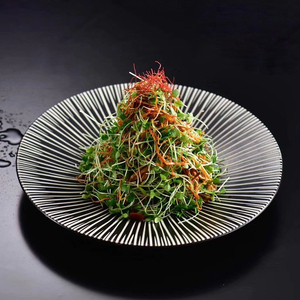 日式陶瓷黑色蔬菜沙拉中餐饭店用圆形线条盘凉菜造型意境餐具包邮