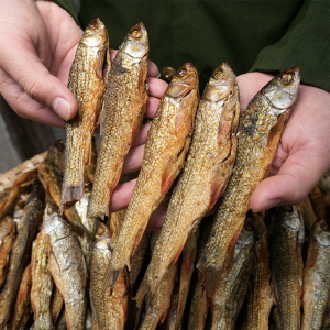 500g东江鱼鱼干湖南特产农家自制烟熏鱼鱼干风干火焙鱼淡水小鱼干