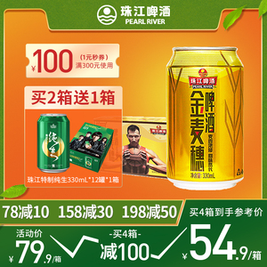珠江啤酒金麦穗24罐 330ml 听装 国产啤酒整箱罐装易拉罐小麦啤酒