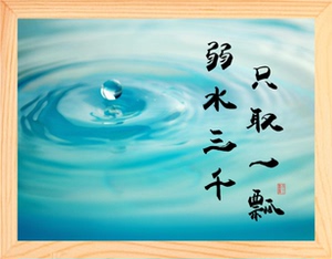 营养书画 天然实木有框画装饰画哲理摆件 弱水三千,只取一瓢