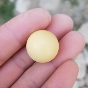 龙涎玉金膏玉定做珠子配饰纯手工私人订制只做精品原矿保真