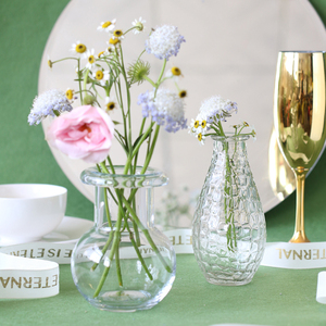 北欧ins 风透明玻璃花瓶插花水养高级感小号复古浮雕鲜花客厅装饰
