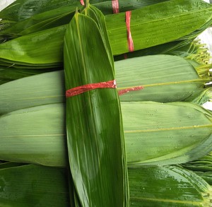 新鲜现摘粽子叶安徽泾县特产南方野生箬叶裹粽子粑粑需要粽子留言