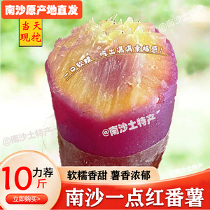 正宗广州南沙一点红番薯新鲜现挖冰淇淋红薯板栗薯农家自种蜜薯