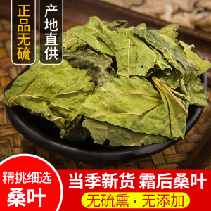 干桑叶中药材桑叶茶500克包邮精选桑树青桑叶新鲜干货霜后桑叶粉