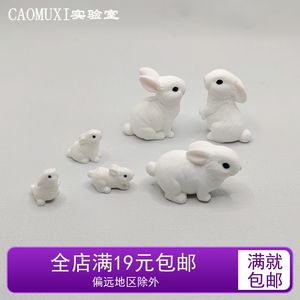 可爱动物 迷你小号兔子仿真小白兔模型 萌兔 微景观摆件 树脂玩偶