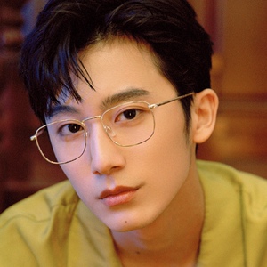 斯文败类眼镜金丝复古