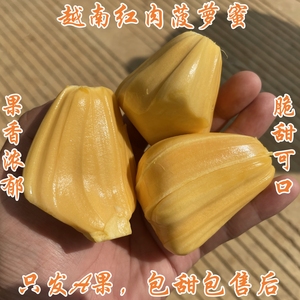 进口越南干苞红肉红心菠萝蜜非泰国海南广西黄肉木菠萝8-10-12斤