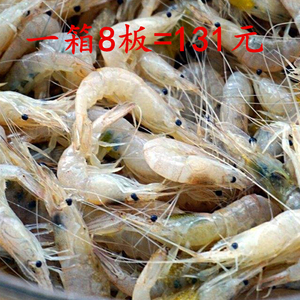 小胡海鲜 精选鲜冻小明虾 冷冻小河虾淡水虾400克一箱8板装