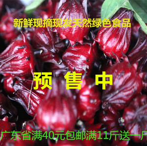 洛神花 玫瑰茄 红桃k果新鲜现摘做酵素酸梅汤果酱泡酒花茶