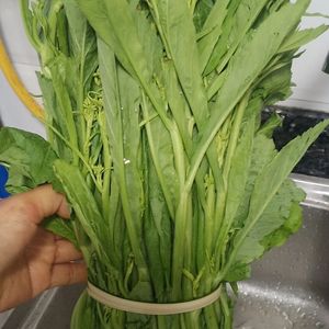 云南德宏新鲜青菜尖小苦青菜菜芽 酸扒菜傣家特色菜煮酸菜500克