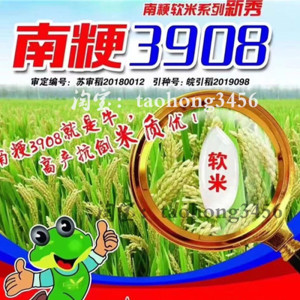 水稻种子南粳3908优质高产早熟晚粳稻品种40斤一袋原包装稻谷种籽