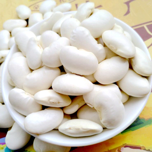 白芸豆 大白豆 500g大扁豆 白豆 炖菜 干锅烧菜口感细腻营养美味