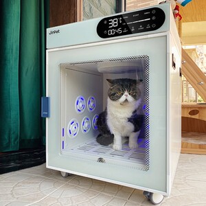 jirpet全自动宠物烘干箱猫咪烘干吹水机狗狗洗澡吹风吹毛神器家用