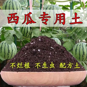 营养土西瓜育苗专用土有机土种菜家庭阳台种植通用肥料泥土壤盆栽