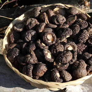 2017年新货黑面香菇土特产沂蒙 香菇干 干货 黑面菇250g