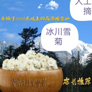 干野生菊花茶海螺沟冰川雪菊高海拔生长满200减20元拍4包发5直销