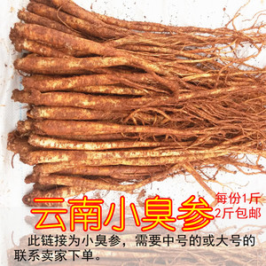 红土参云南臭参新鲜臭药食用云参现挖小人参野生臭药包邮蔬菜特产