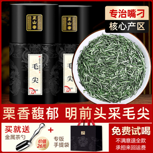 信阳原产毛尖茶叶2024年新茶 浓香型绿茶 明前头采嫩芽500g