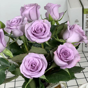 空运云南昆明斗南花卉市场海洋之歌玫瑰紫玫瑰20支40支鲜切花鲜花
