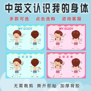 中文儿童身体部位认识身体五官器官早教学习启蒙海报贴纸墙贴