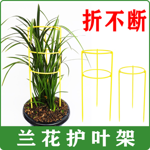 兰花叶子支架