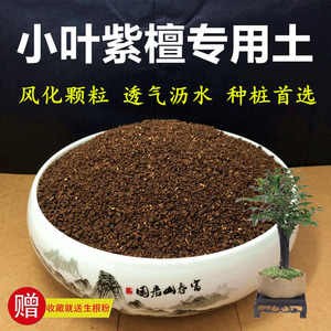 小叶紫檀土黑骨茶专用土营养土颗粒土种植土风化土红土酸土盆景土