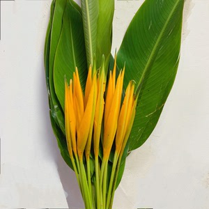 黄金鸟天堂鸟鲜花速递上海同城江浙沪皖两扎包邮家用10支一扎