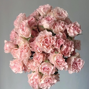 人鱼公主粉色多头玫瑰鲜花速递上海同城江浙沪两扎包邮10枝