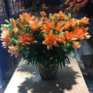 重瓣金百合小蜜蜂幻影百合鲜花速递江浙沪两扎包邮无香上海同城