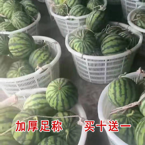 台州包邮特价加厚塑料筐西瓜筐圆形蔬菜水果运输框周转框海鲜筐