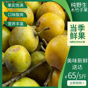 广西野生木竹子山枇杷木熟黄牙果竹桔子孕妇酸水果酸桐子5斤包邮